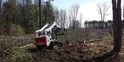 Land Clearing Forestry Mulching, Free Estimate Excavation, Land Clearing, Land Grading, Land Work, Free Estimate