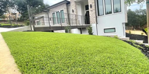 Sod Installation, Sod Installer, New Sod, Sod Company, Sod Contractor